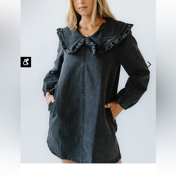 Bohme Iris Denim Babydoll Dress NWT - Picture 3 of 6